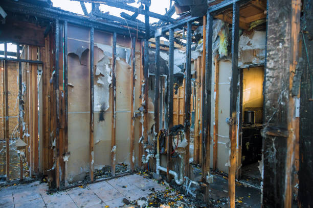 Professional Fire Damage Repair technician working in Dayton, NJ